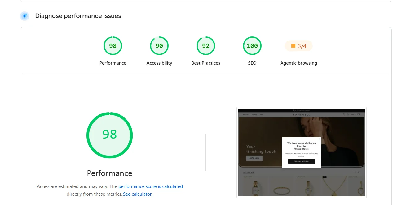Google Lighthouse Performance Audit